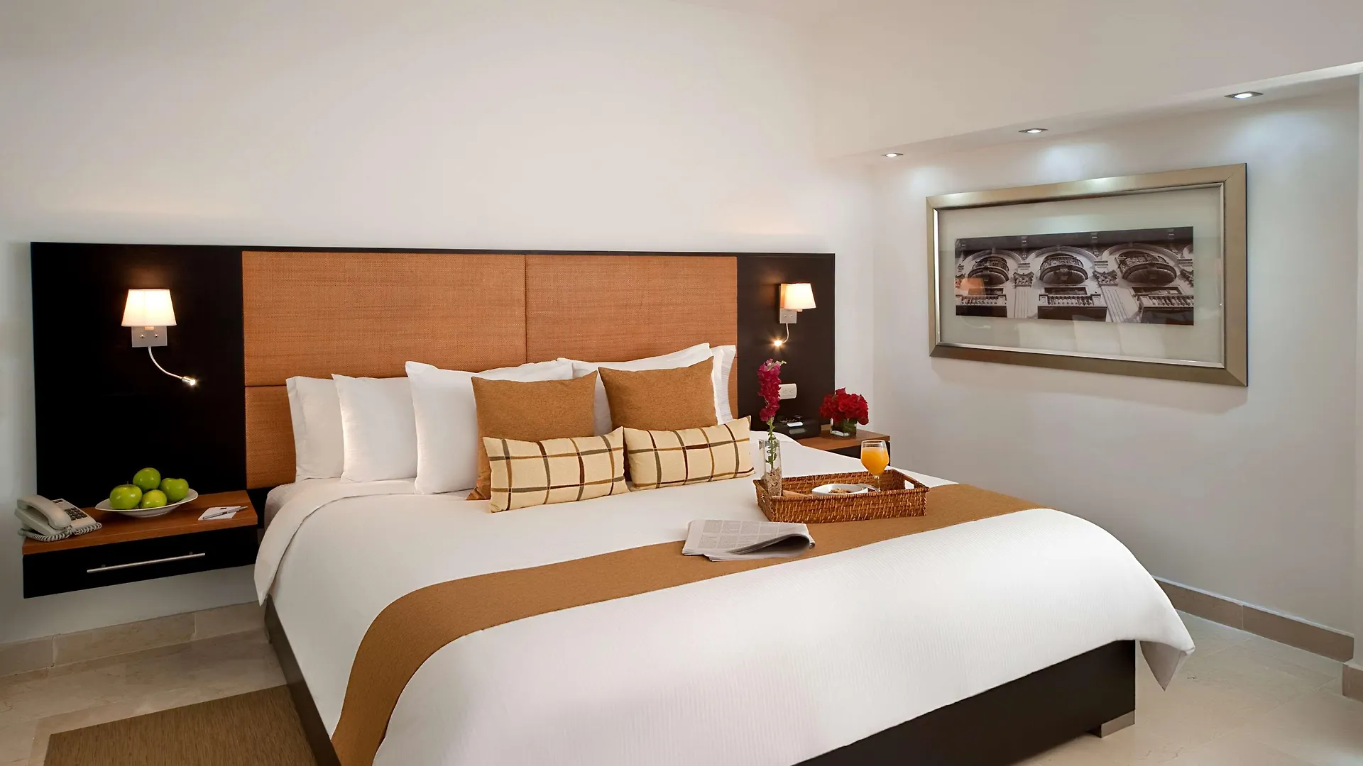 ****  Radisson Hotel Santo Domingo Den Dominikanske Republik