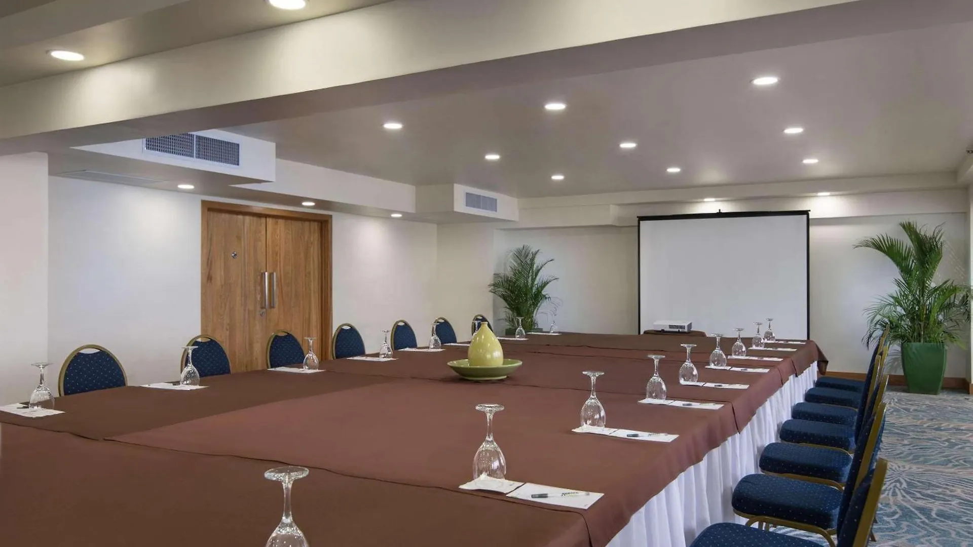 ****  Radisson Hotel 산토도밍고 도미니카 공화국